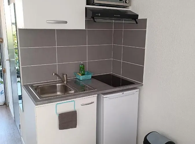 公寓 Proche Du Chu *