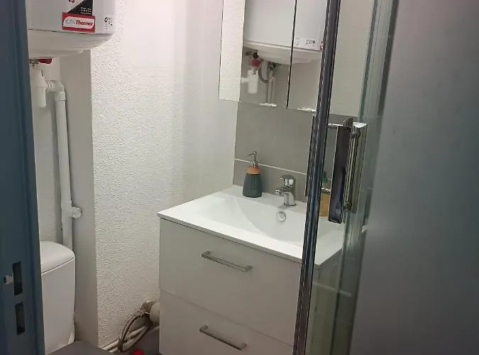 公寓 Proche Du Chu *